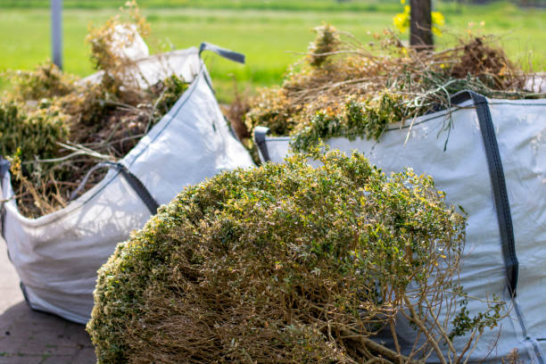 Best Commercial Cleanout Services  in Shil, OH