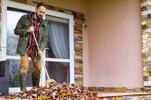 Debris Removal in Shiloh, OH
